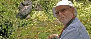 Naturfilmaren Rolf Agnestrand visar gorillafilmer i Eskilstuna