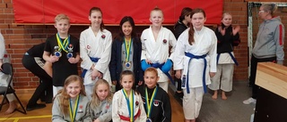 Medaljregn för Eskilstuna Karateklubb