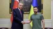 Erdogan: Turkiet på Ukrainas sida