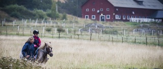 Nytt hopp för ridsugna ungdomar