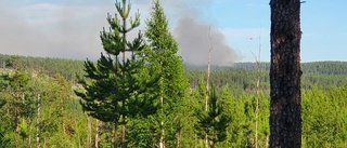 Skogsbranden i Boden: Släckningsarbetet har pågått under hela natten