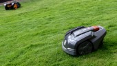 Åska och dunder: Rädda robotgräsklipparen