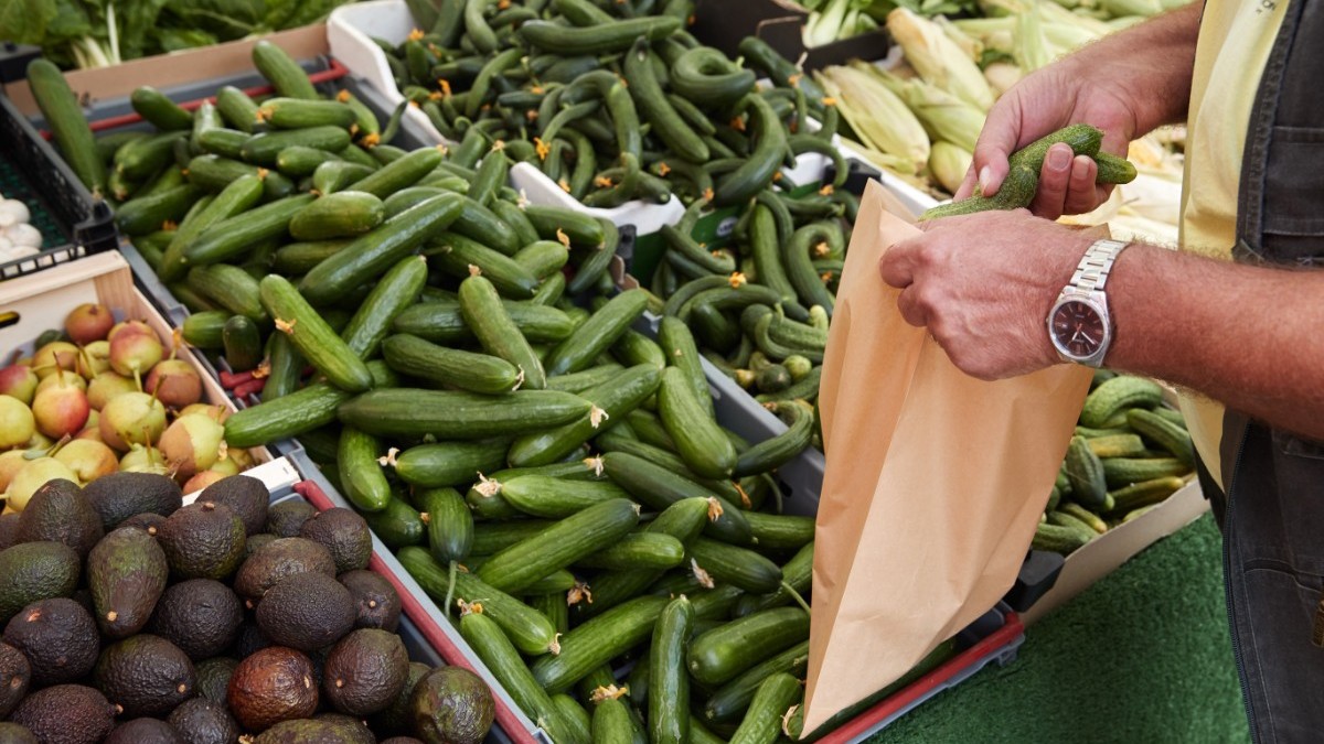 Sörmlanders – Lascia che il tuo cuore si unisca quest’estate!  – Corriere