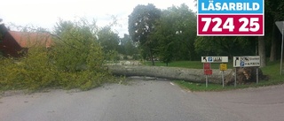 Här blockerar nedfallna trädet vägen i Sundbyholm