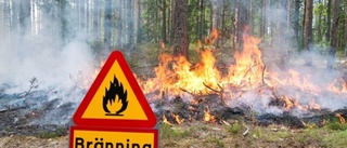 Eldningsförbud och naturvårdsbränning – samtidigt