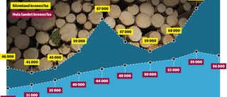 Fördubblade priser på skogsmark