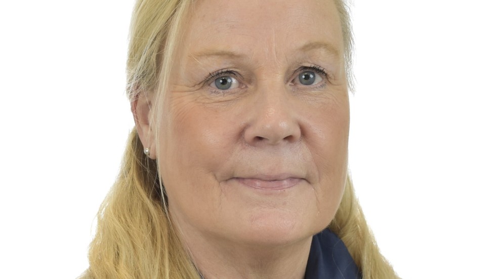 Susanne Nordström (M) i Östergötland är en av de riksdagsledamöter som får frågor av dagens debattör.