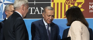 Expert: Viktigt att Erdogan och Kristersson möts