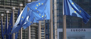 EU:s strukturfonder utvecklar regioner