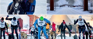 Petades från SM-veckan – dukar upp till egen skidfest på Lindbäcksstadion: "En spännande sport där mycket kan hända"