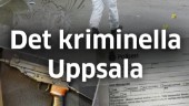 Missa inte ”Det kriminella Uppsala”