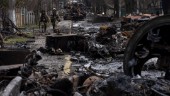 Expert: Allvarliga krigsbrott i Ukraina