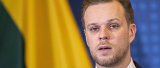 Litauisk minister: Säkrare med Sverige i Nato