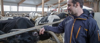 Brist på spannmål kan ge mjölkbrist i butikerna:"Det finns inga lager av mjölk nånstans"