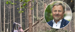 Norra skog höjer virkespriserna: "Ett steg framåt för att öka lönsamheten"