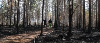 Hårt efterarbete för markägarna