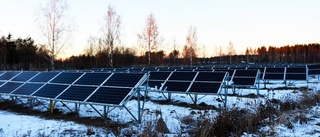 Här är Luleås första solkraftspark