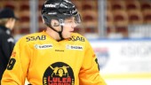 Glädjebeskedet: Luleå Hockey-stjärnan tillbaka