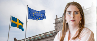 "Civilsamhället är en enormt viktig brygga mellan EU och Sverige"