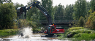 Älven utanför Piteå görs om – ska återställas efter flottningen