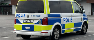 Fredagsfyllerist togs av polis