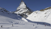 Skidåkare döda i lavin i Schweiz