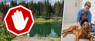 Efter hundens död – varning om risk för algblomning i vattnet