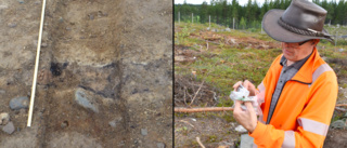 Arkeologerna överraskade – har hittat lämningar från vikingatiden