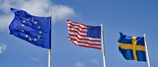 ”Avtalet med USA hotar Gotlands säkerhet”