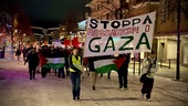 Ett 100-tal demonstrerade för palestinierna