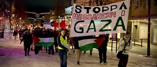Ett 100-tal demonstrerade för palestinierna