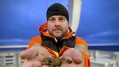 Utvinna metaller ur Östersjön "oprövad mark"
