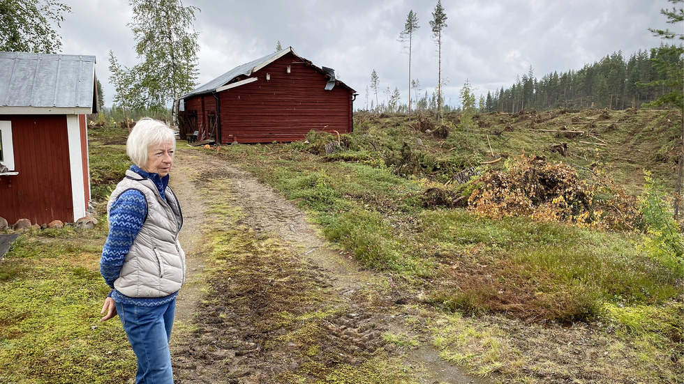 Stormen Hans, som egentligen var ett åskoväder med fallvindar, orsakade enorm förödelse i delar av Malå och Norsjö kommuner. Eva Gunnmo var en av de drabbade skogsägarna.