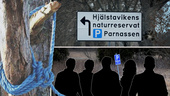 17-åring från Uppsala döms för mord – man hängdes i träd