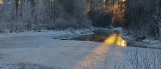 Läsarbilden: Solglimt                