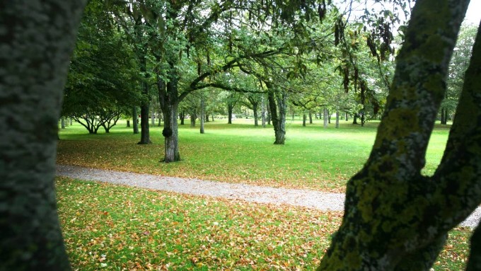Morgonvandrarna Syd