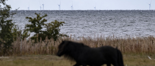 Storskalig påverkan av vindkraft till havs