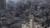 Dags att agera – vapenvila i Gaza nu