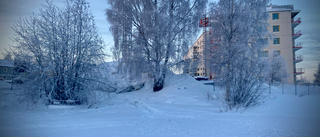 Här hittades mannen död på isen i Luleå – nu undersöks kroppen  