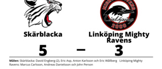 Linköping Mighty Ravens föll med 3-5 mot Skärblacka