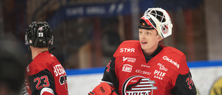 Luleå Hockeys drag – tar in ytterligare en målvakt