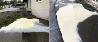 Sabotage i Hälleforsnäs – 900 liter mjölk rann ut