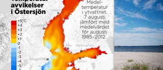 Här lyser Östersjön rött: "Oroväckande"