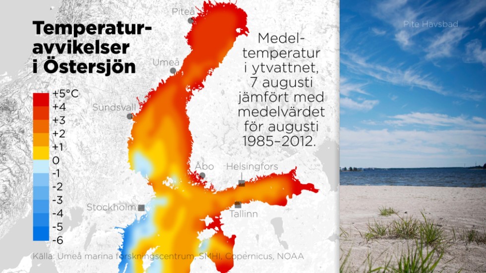 Medeltemperatur i ytvattnet, den 7 augusti i år jämfört medmedelvärdet för augusti 1985–2012.
