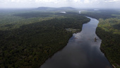 Fem döda i helikopterkrasch i Guyana