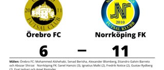 Norrköping FK vann - efter Sanel Hamzics målkalas