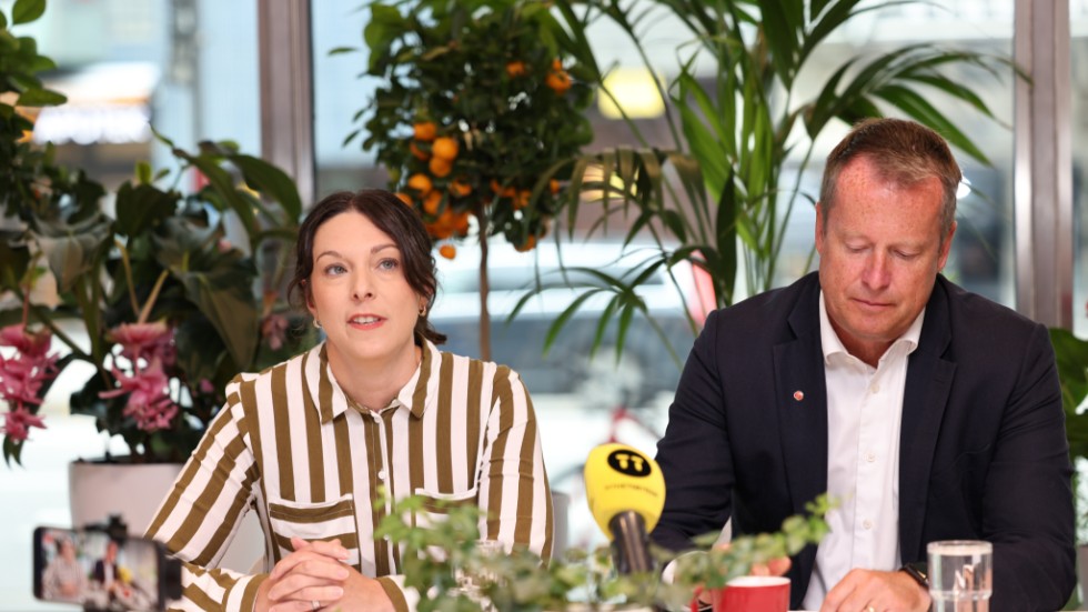 Teresa Carvalho (S) och Anders Ygeman (S) kritiserade på tisdagen arbetsmarknadsministerns expertgrupp.