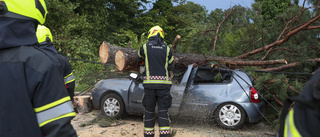 Flera döda i våldsam storm på Balkan