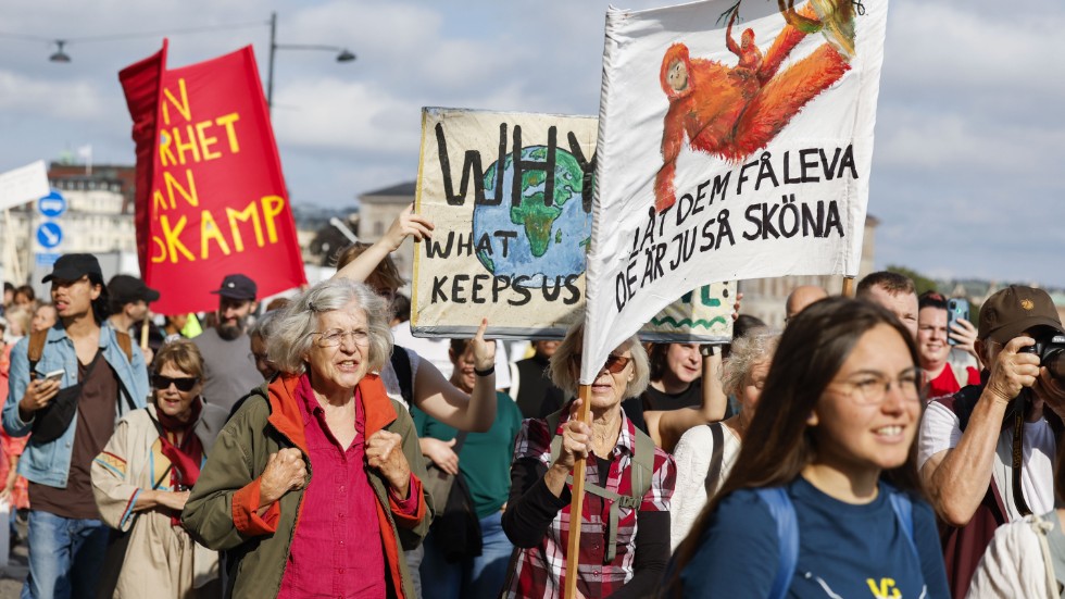 Klimatstrejk på Mynttorget i Stockholm arrangerad av nätverket Fridays For Future.