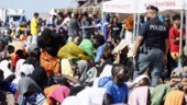 "Sverige bör inte hämta migranter från Lampedusa"